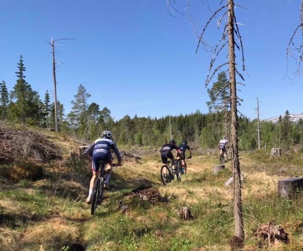 Orklarittet 2018