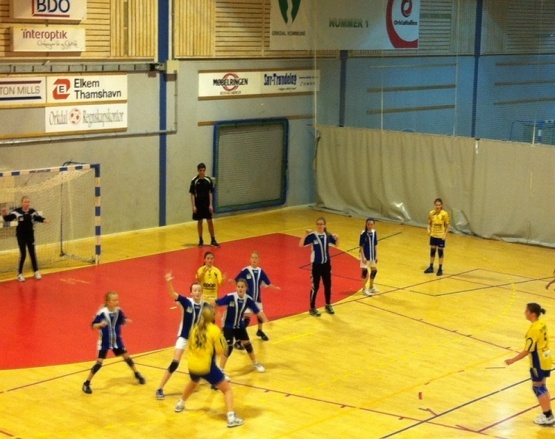 Handball_201111_018.jpg