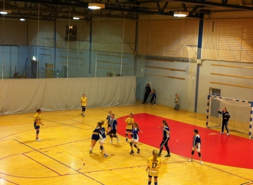 Handball_201111_020.jpg