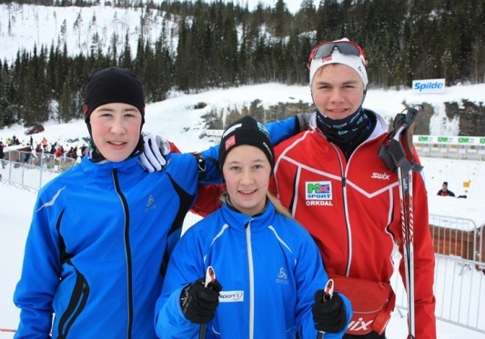 Hovedlandsrenn_skiskyting_2013.JPG