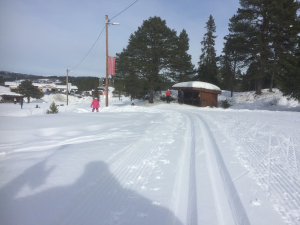 Skispor Knyken mars 2018